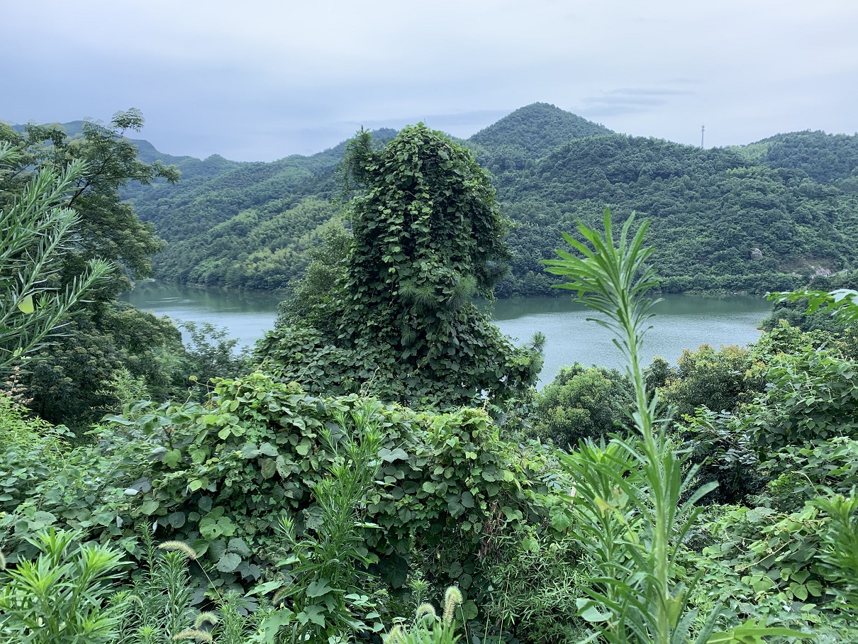 长沙周边农村一日游洛书草堂风景欣赏